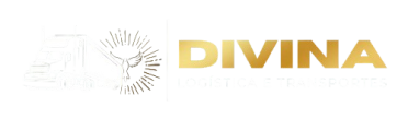 Logo DIVINA LOGISTICA
