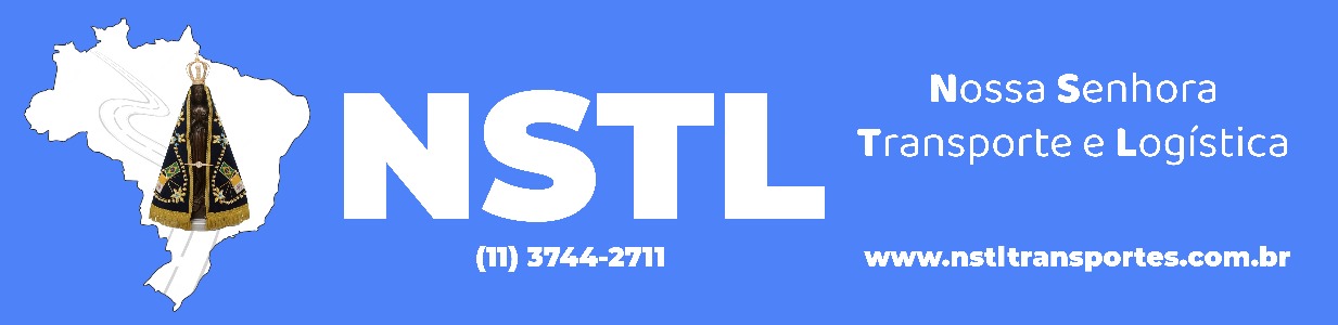 Logo N S T L